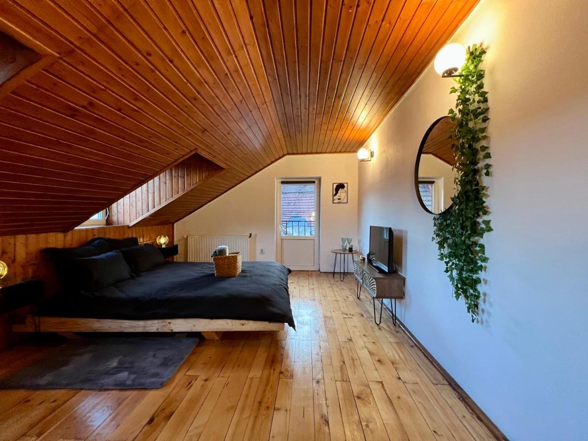 Appartamento Nacada Studio By Hyco Sighişoara Esterno foto